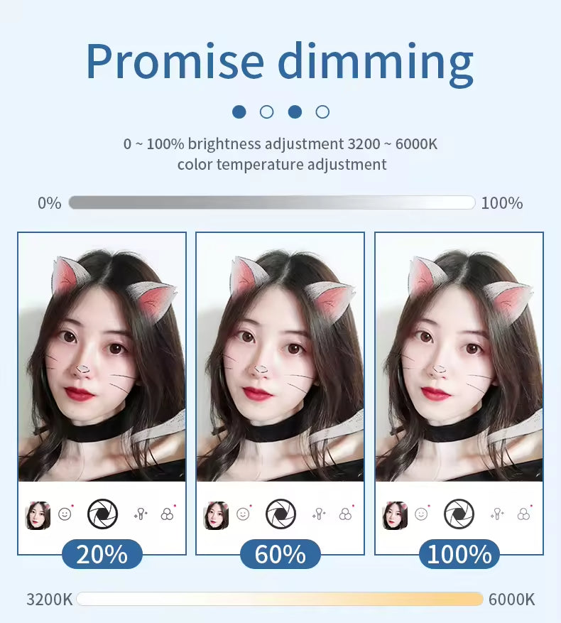 Phone Stand with Mirror